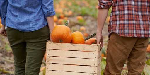 Where to go Pumpkin Picking this Halloween on Long Island